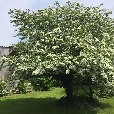 Semesterbostad Avec Jardin Clos, Proche Attractions, 2 Chambres, Wifi, Parking, Calme Assure - Fr-1-426-138