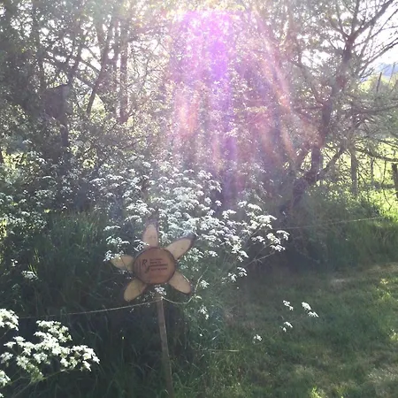 Avec Jardin Clos, Proche Attractions, 2 Chambres, Wifi, Parking, Calme Assure - Fr-1-426-138